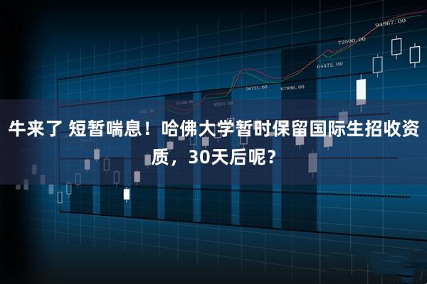 牛来了 短暂喘息！哈佛大学暂时保留国际生招收资质，30天后呢？