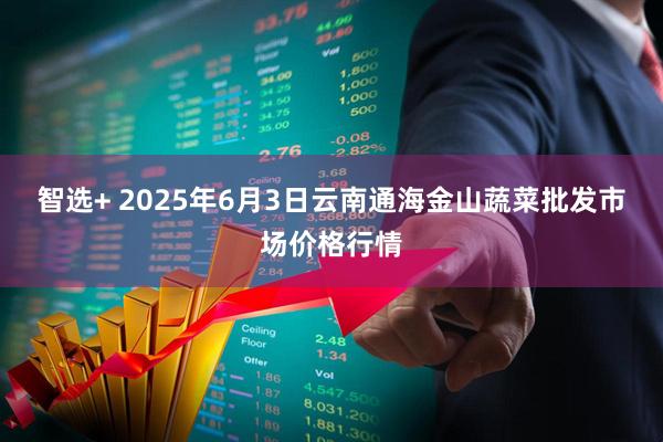 智选+ 2025年6月3日云南通海金山蔬菜批发市场价格行情