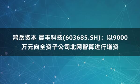 鸿岳资本 晨丰科技(603685.SH)：以9000万元向全资子公司北网智算进行增资