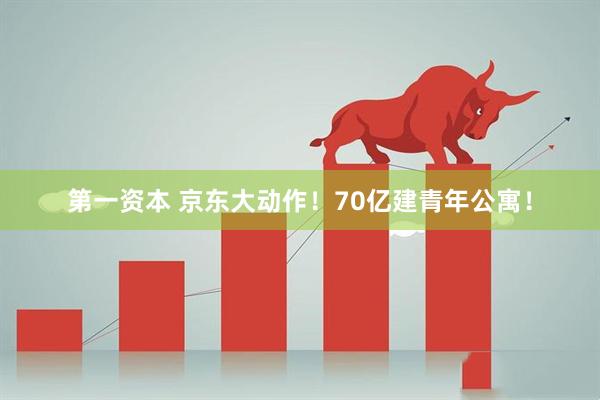 第一资本 京东大动作！70亿建青年公寓！