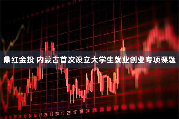 鼎红金投 内蒙古首次设立大学生就业创业专项课题