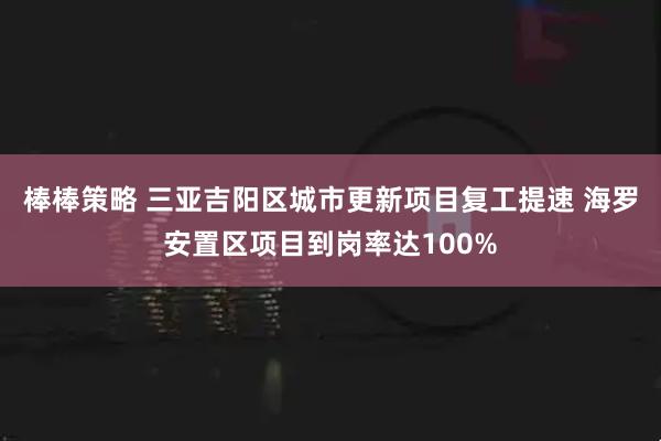 棒棒策略 三亚吉阳区城市更新项目复工提速 海罗安置区项目到岗率达100%