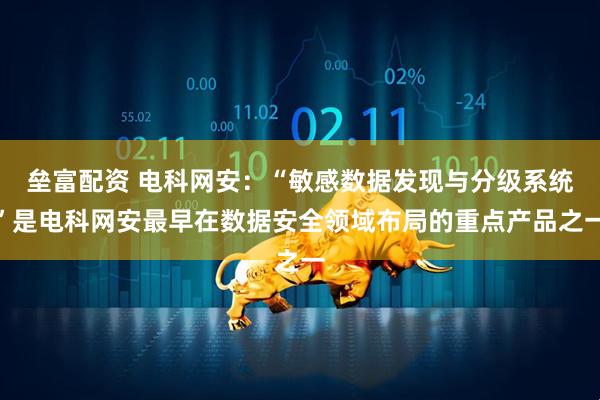 垒富配资 电科网安：“敏感数据发现与分级系统”是电科网安最早在数据安全领域布局的重点产品之一