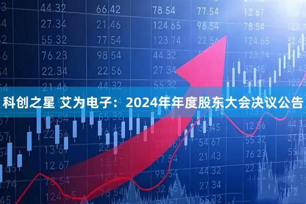 科创之星 艾为电子：2024年年度股东大会决议公告