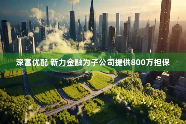 深富优配 新力金融为子公司提供800万担保